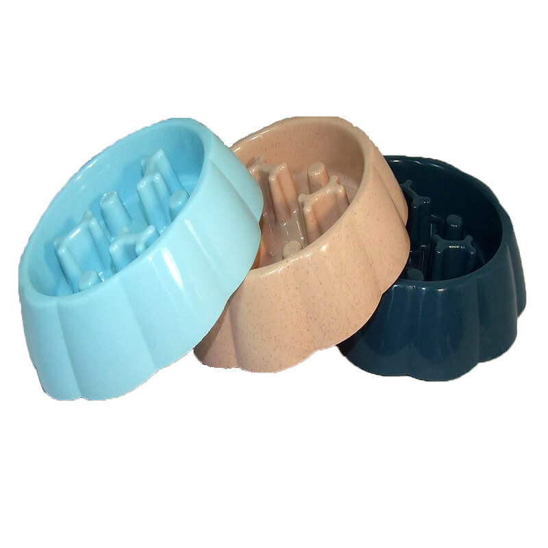 castron-caini-CD032
