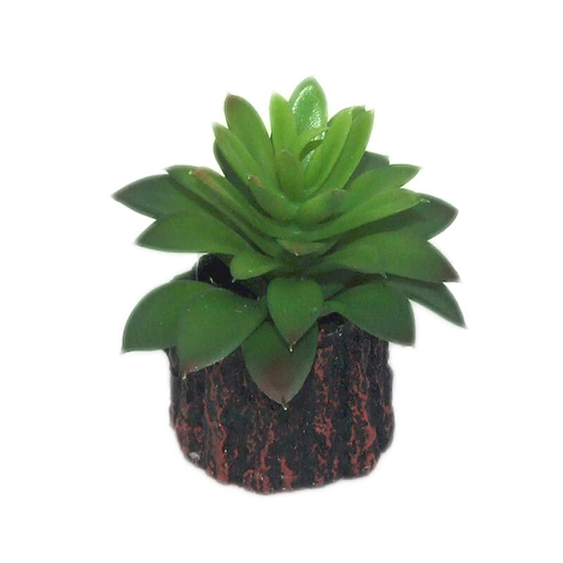 decor-acvariu-ato614