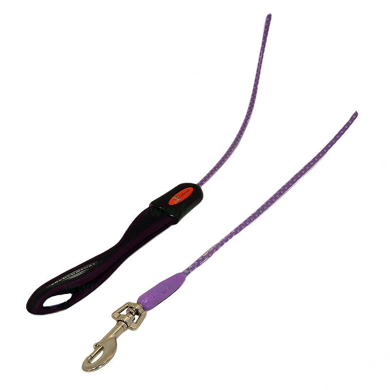 lesa-caini-cl401