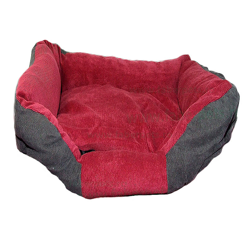 patut-animalute-ca8103