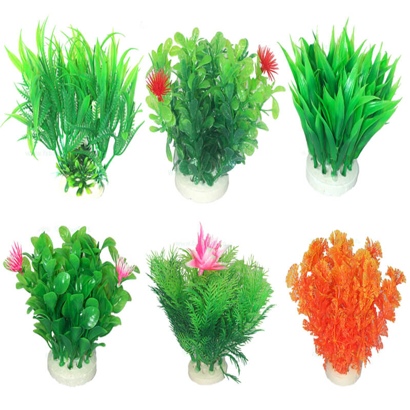 plante-acvariu-atp34