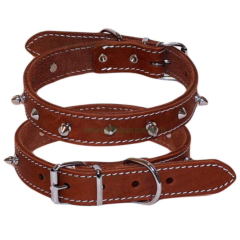 zgarda-piele-cza592