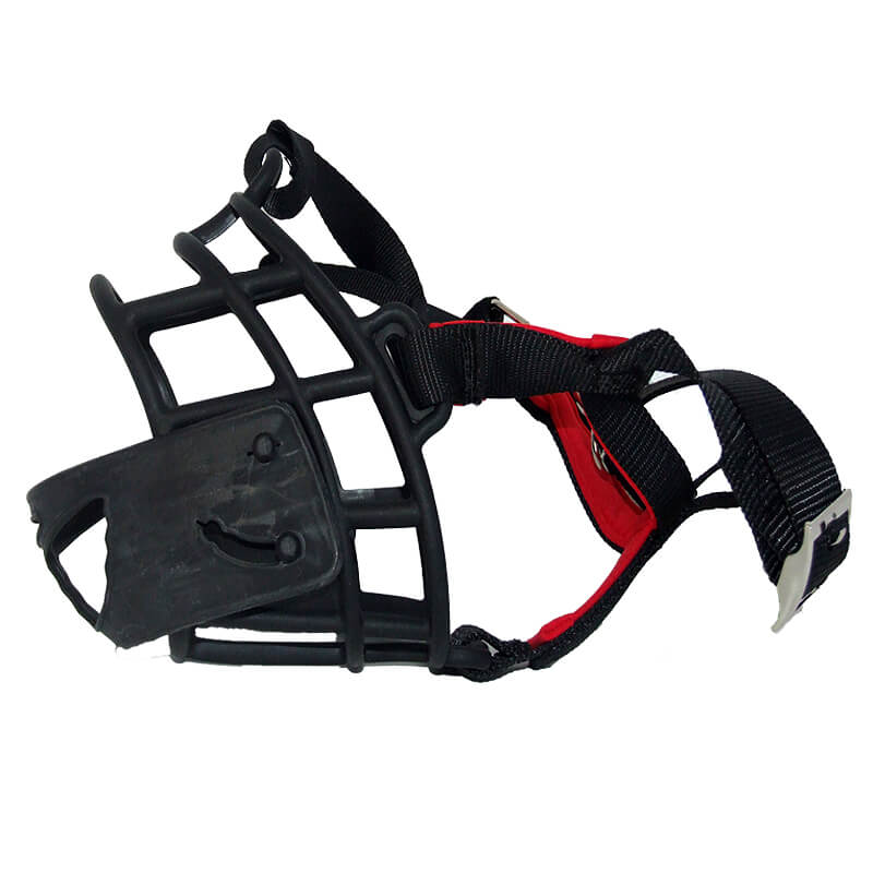 botnita-plastic-cb021.jpg
