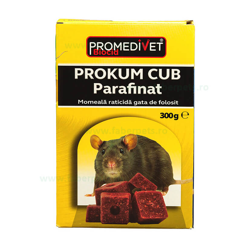 procum-cub-ps497.jpg