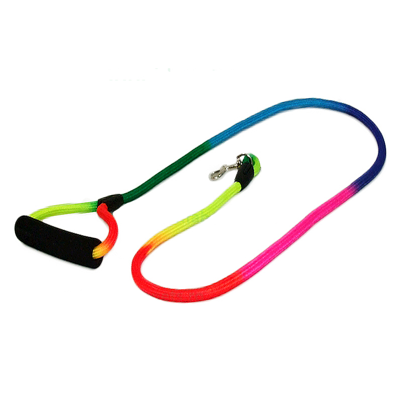 lesa-caini-cl467