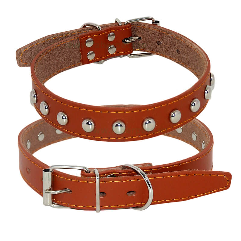 zgarda-piele-cz392